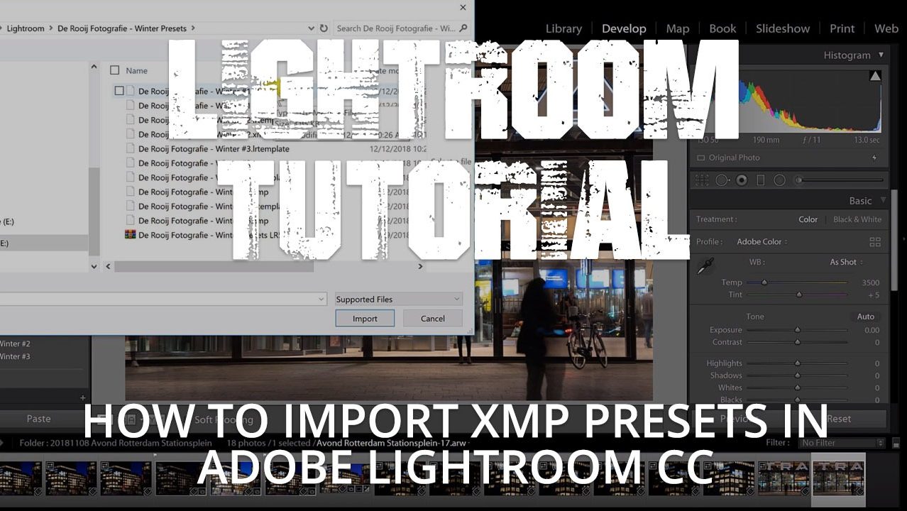 import presets lightroom classic cc